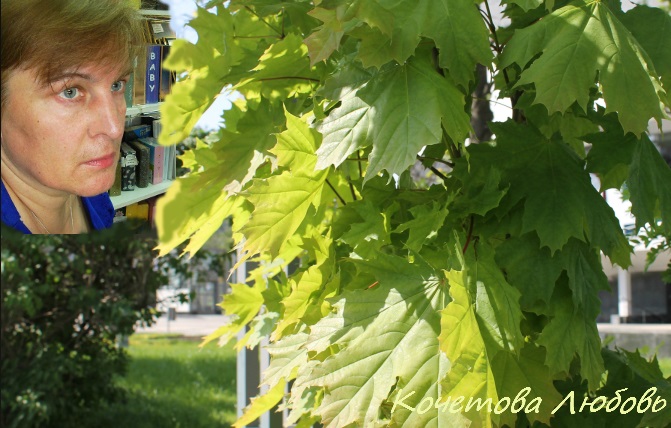 Любовь Кочетова