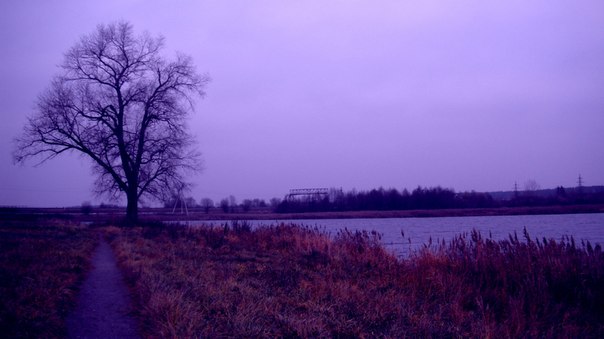 Тамара Белая