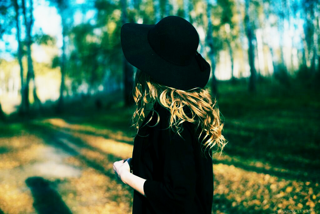 ���� ������