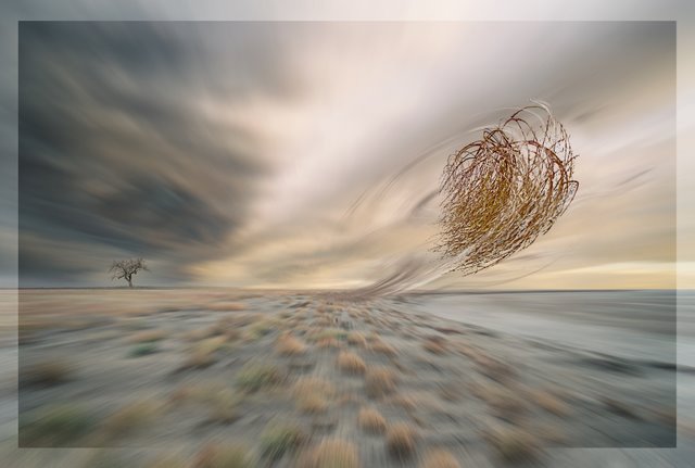 ����� �����