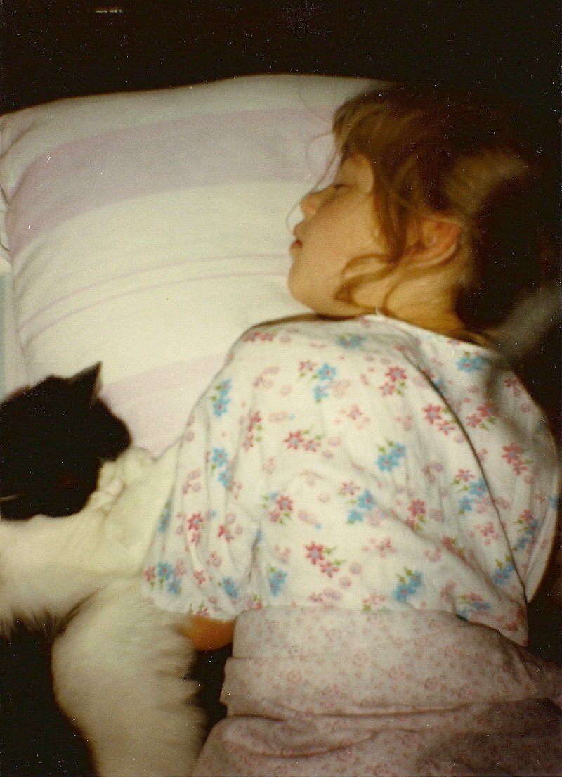 Лучезарная Лисичка