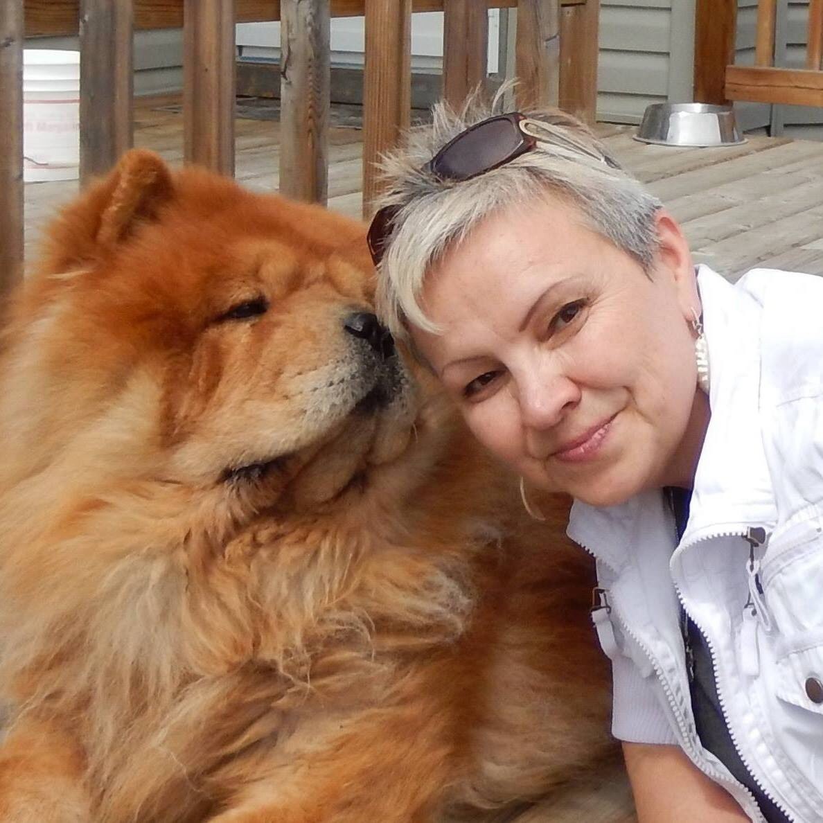 �������� �����