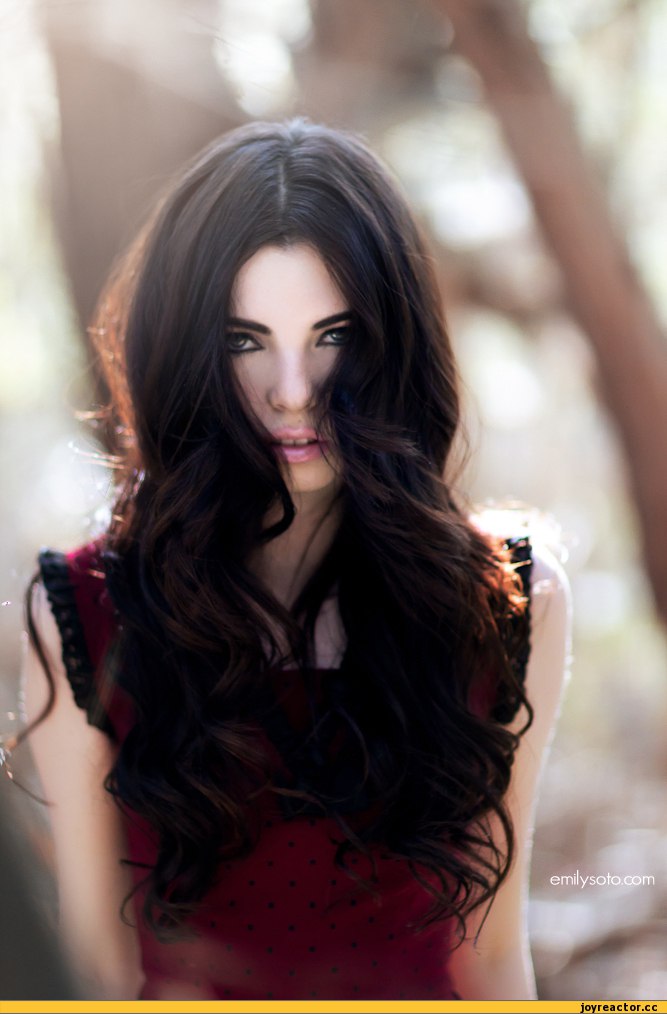 ���� ������