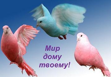 ������� ���������