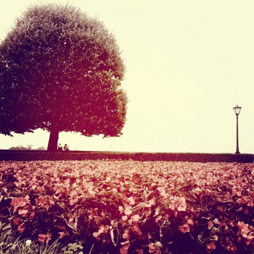 ������ �������