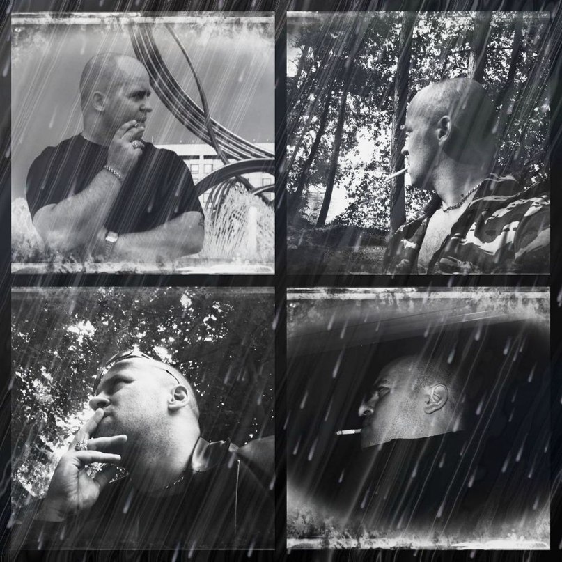 ������ ������