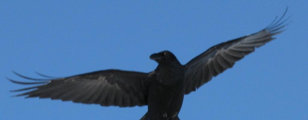 ���������� ������ ������������