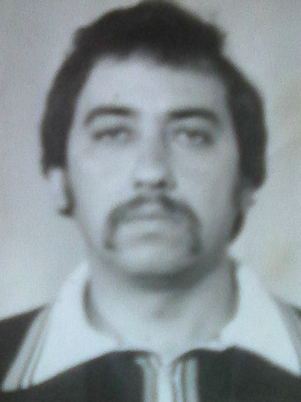 ������ ��������