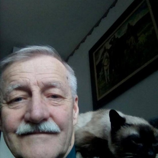 ������ ���������