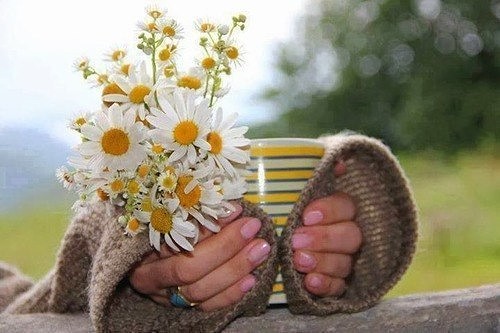 ����� ���������� ��������