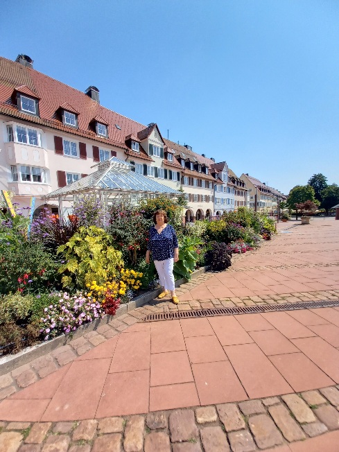 ������ ���������