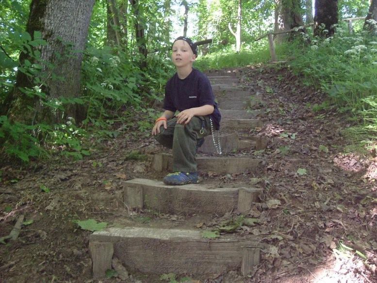 ������ ����