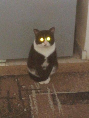 ����� ����������