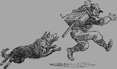 ���� ���������