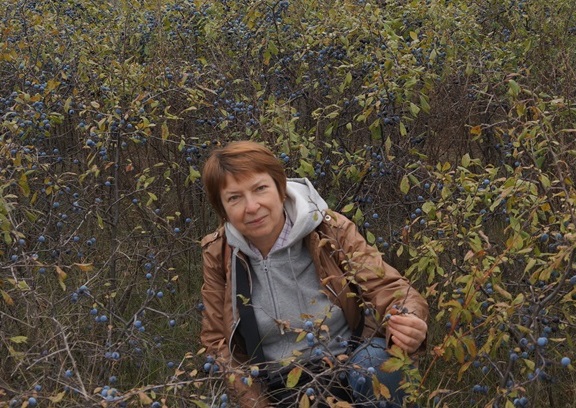 ������������ �����