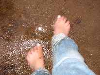 ������ ��������