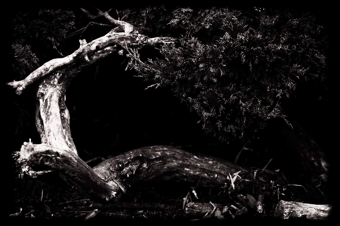 ��������� �������