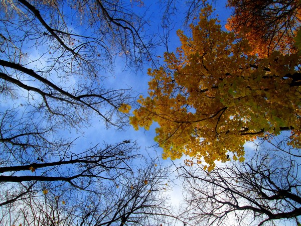 �������� ͸��