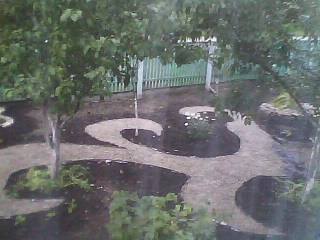 ������ ���������