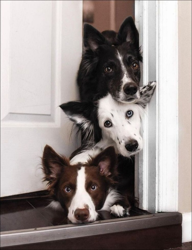 ���������� ����������