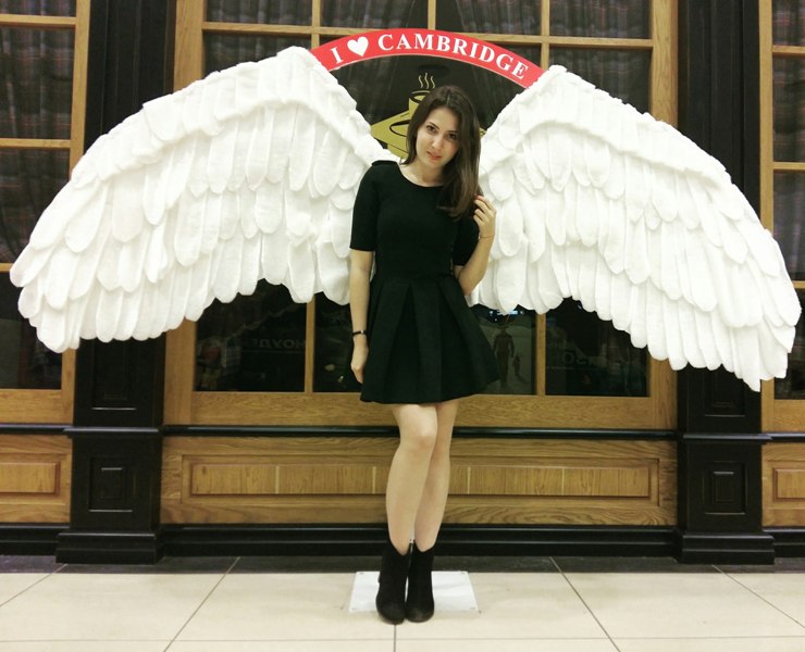 ���� �������