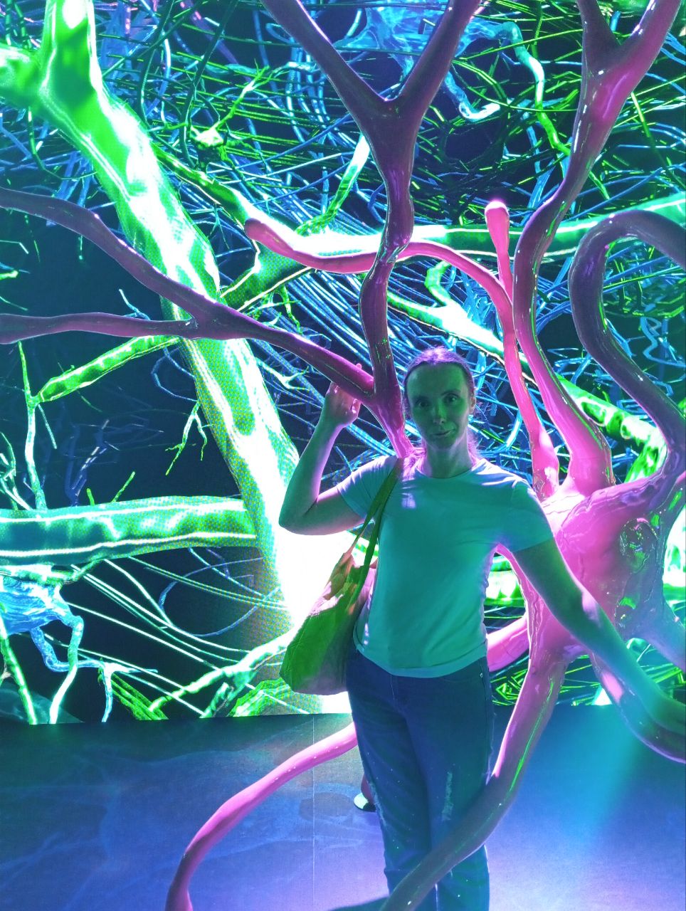 ����� ���������� �������