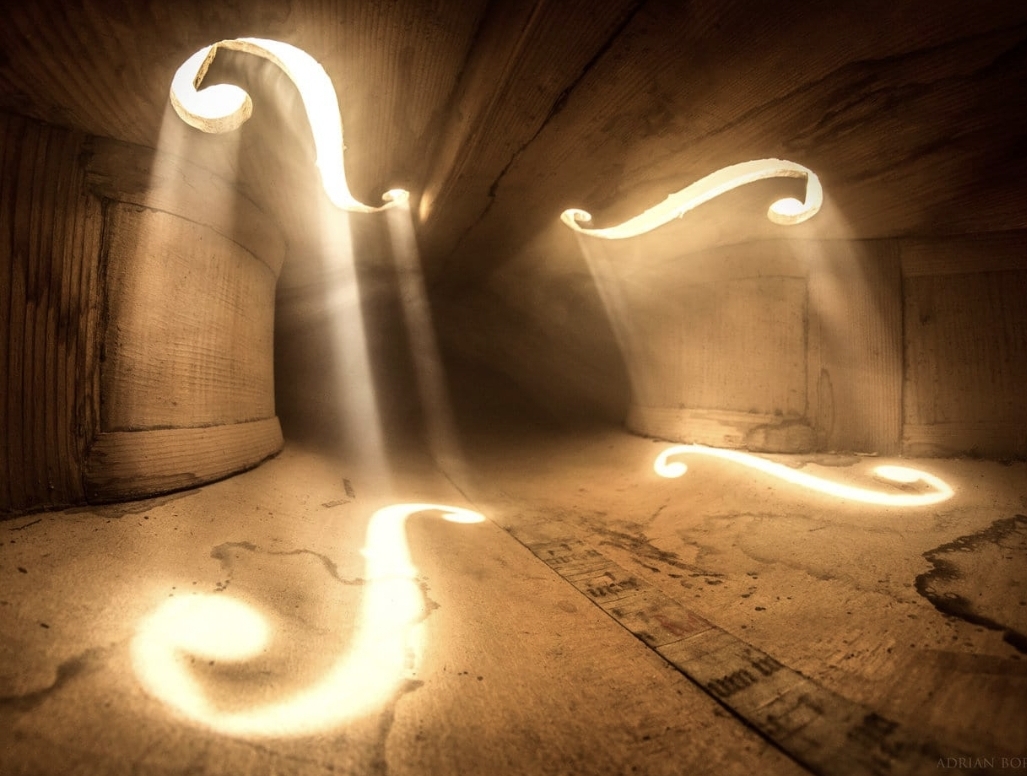 ����� �������