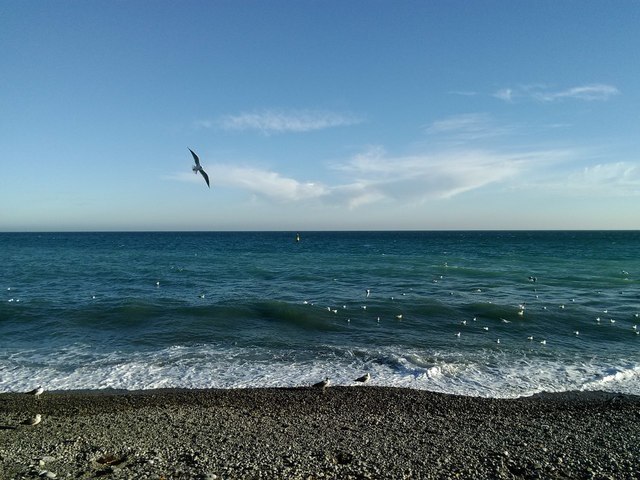 ����� ��������