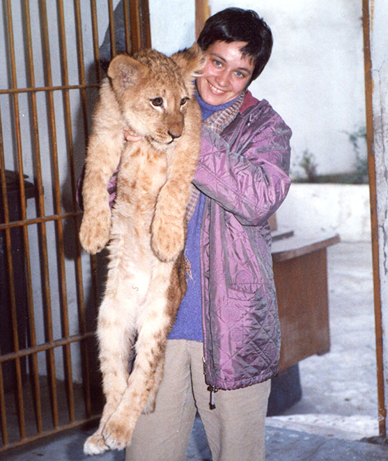 ����� ������� �����������