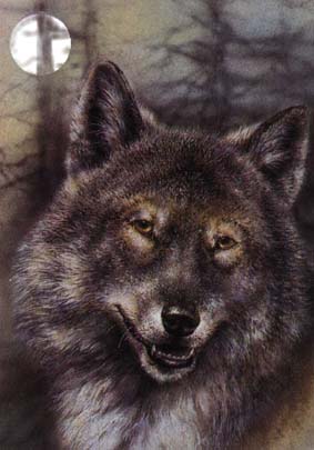 ��������� ����� ����