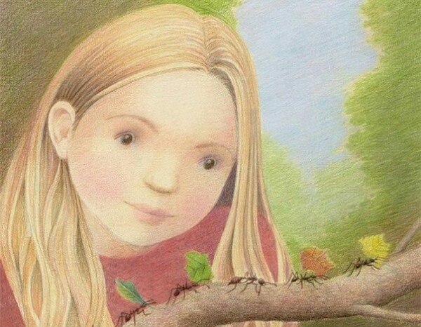 ���� ����