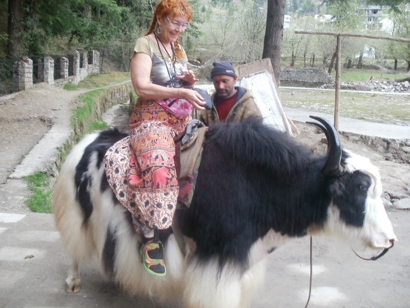 ������ ����� ��������