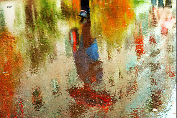 ���� �����