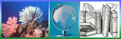 �������� �������