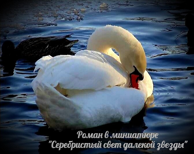 ������ ����������� ��������