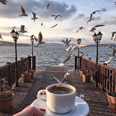 ����� �����