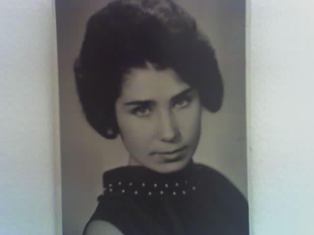 ���� ����������