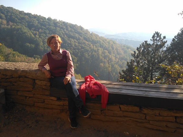 ������ ���������