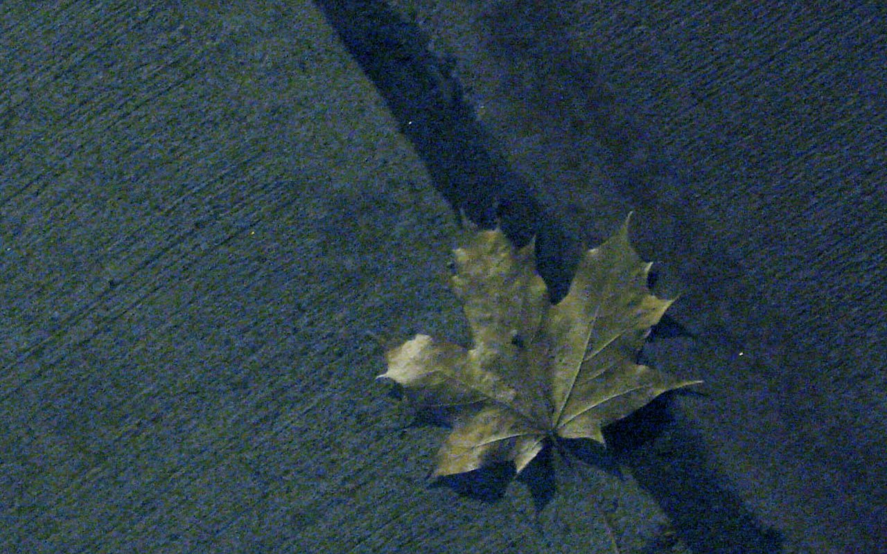 ������� �������