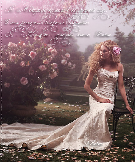 ���� ������