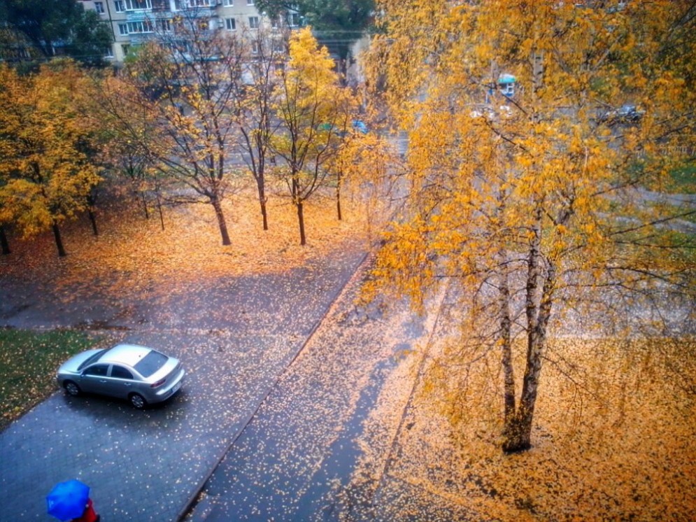 ���� ��� ������ �������