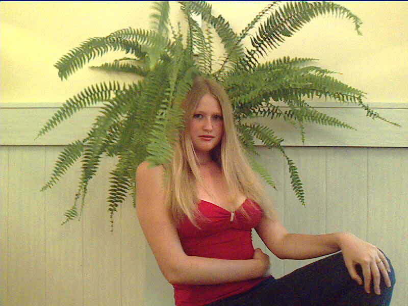 ����� ���������