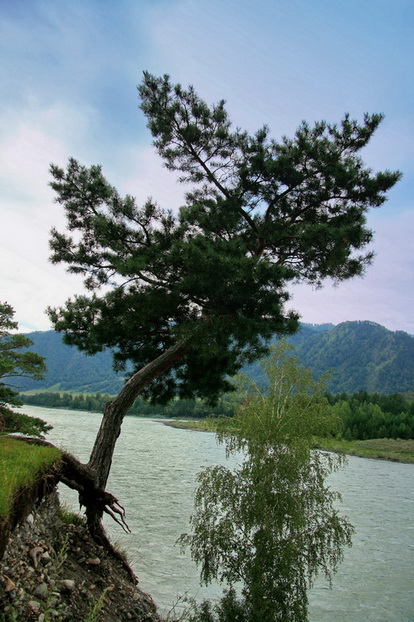 ���������� ���