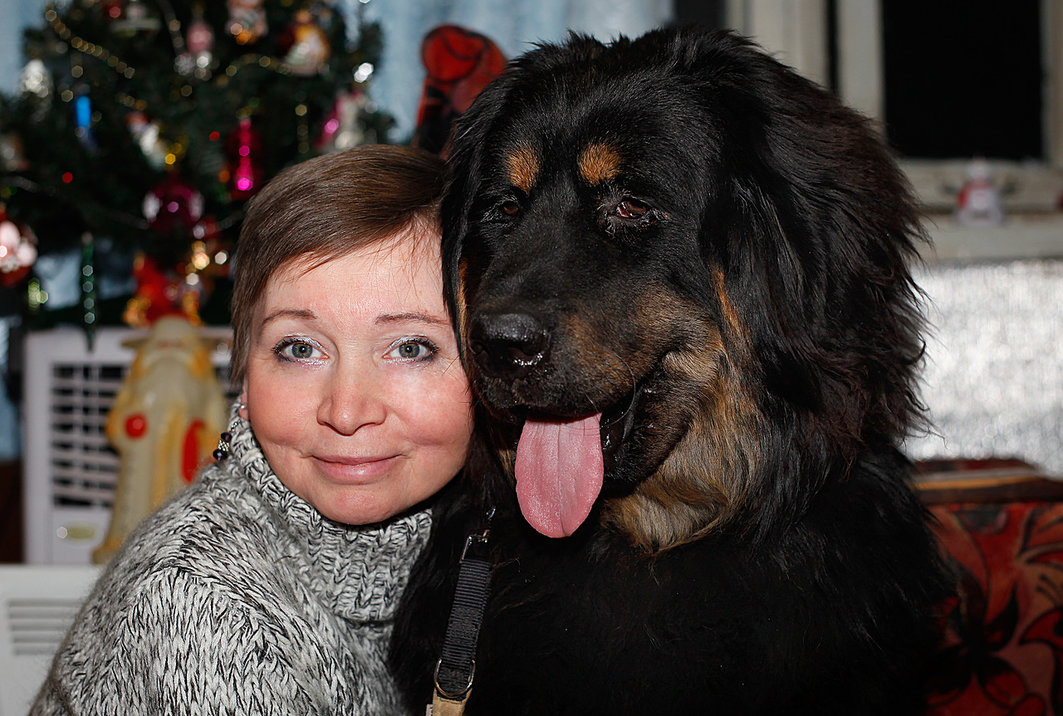 ����� ��������