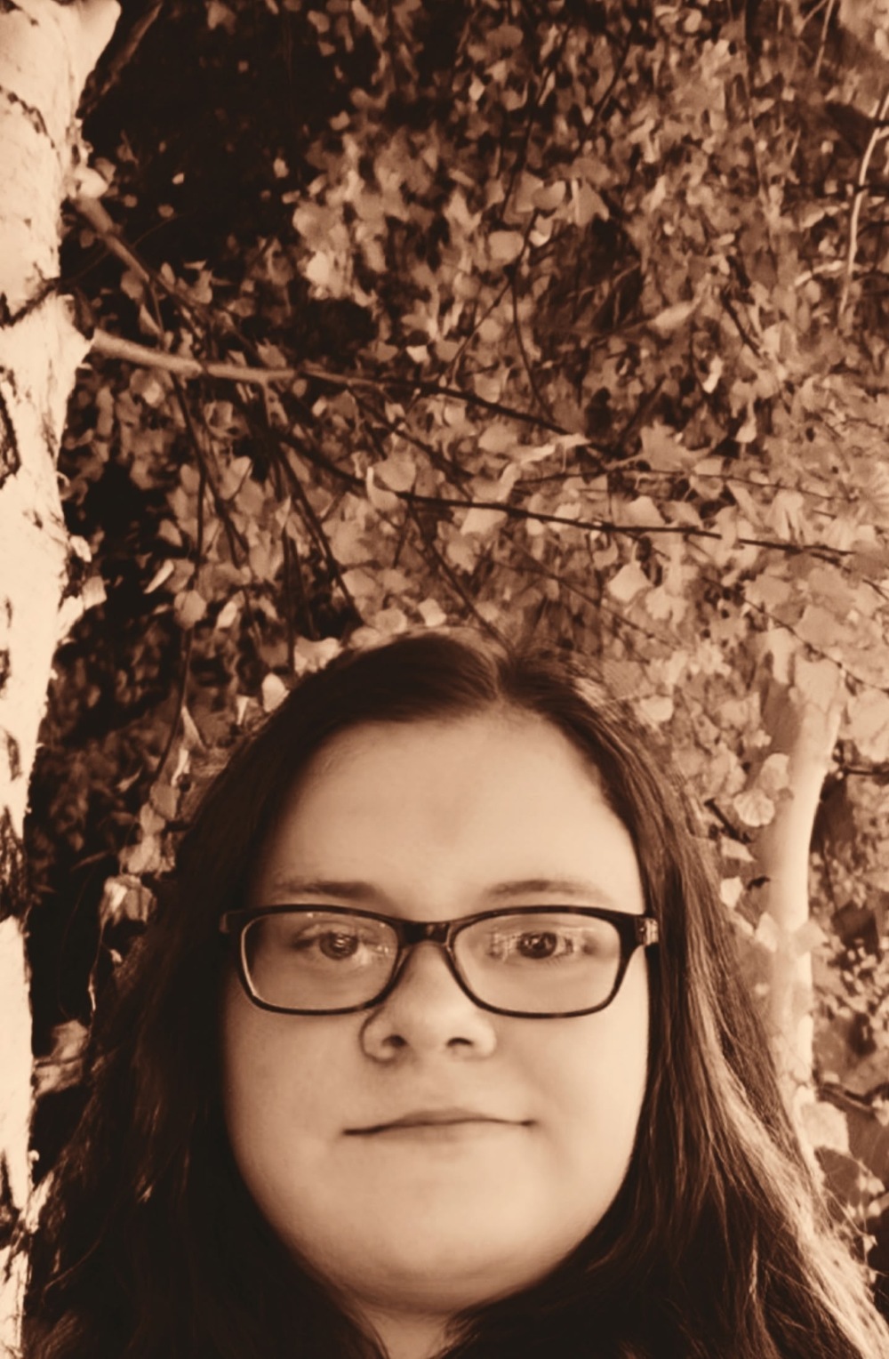 ���� �������