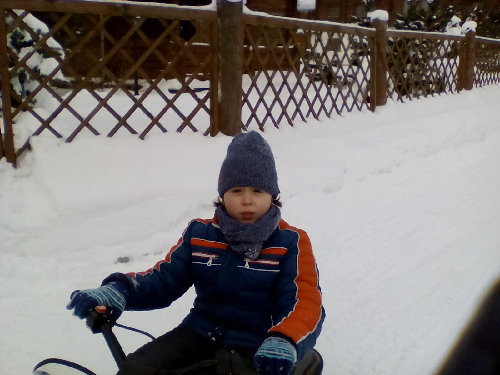 ������ ������