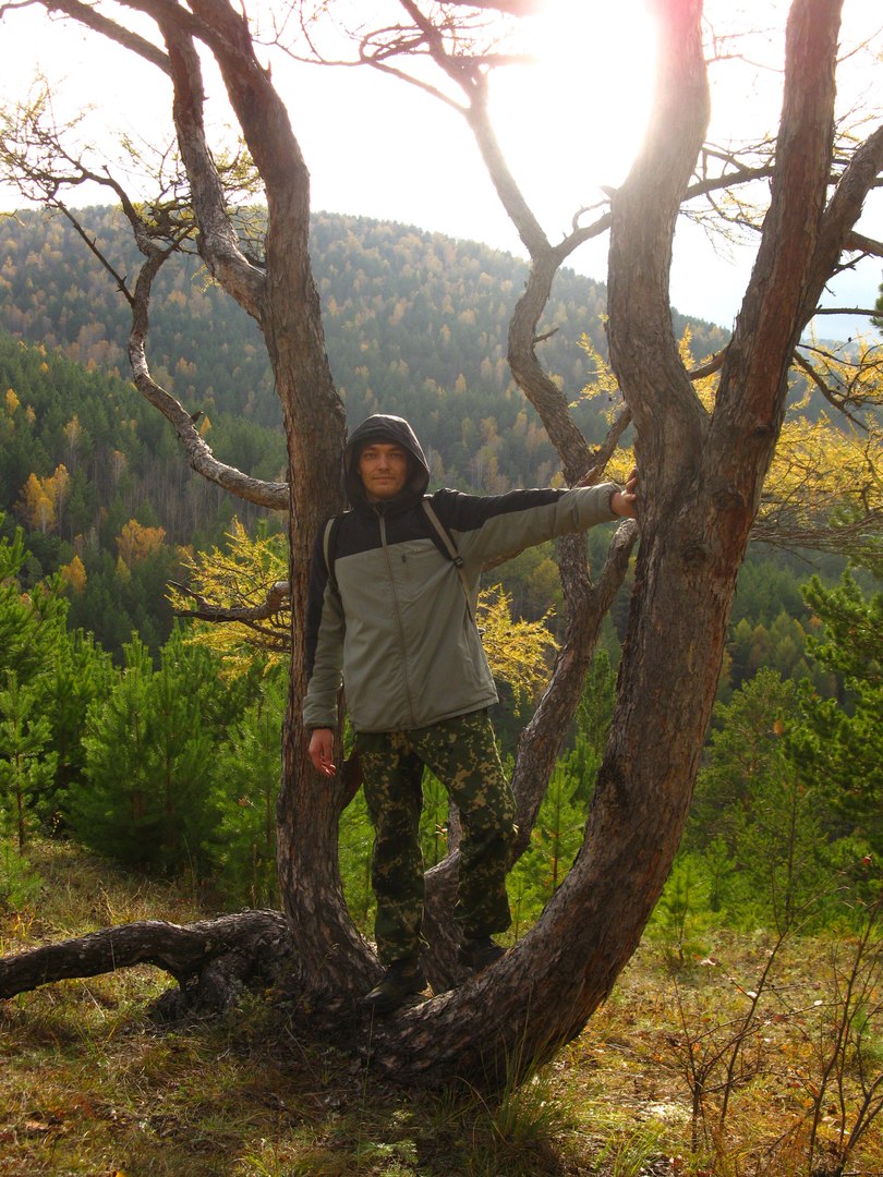 ������ ��������