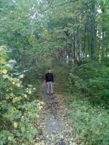 Максим Наваррский