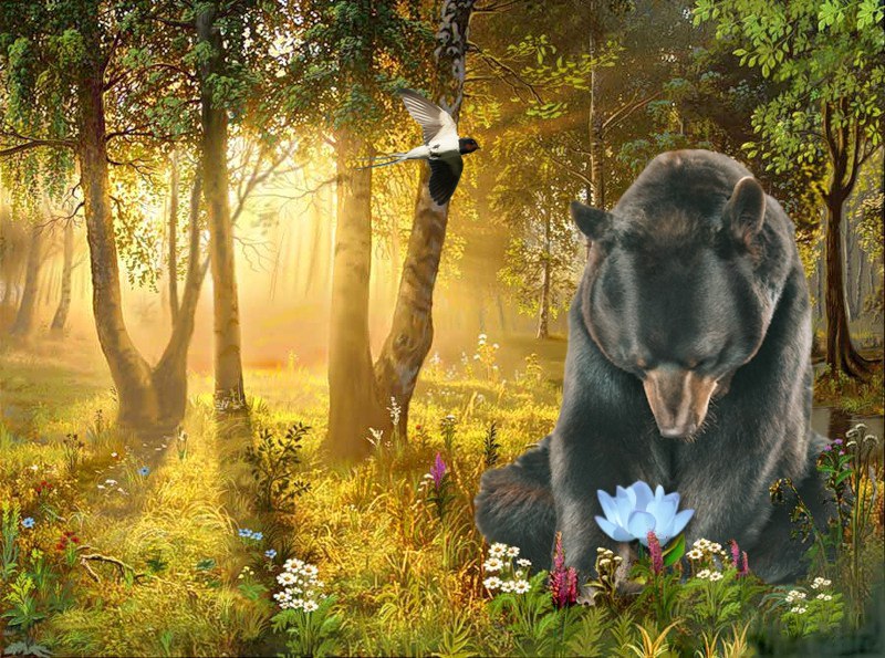 ������� ����