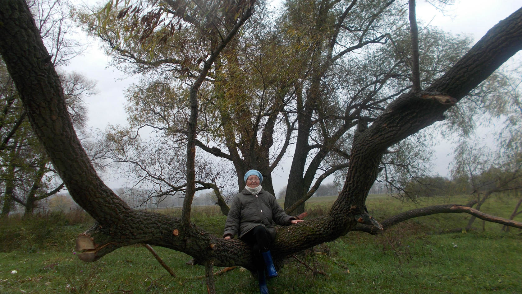 ������ �����